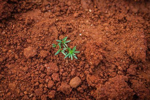 Soil Composition Soil Composition