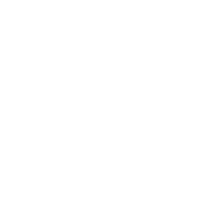 Timeline Icon